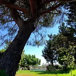 Strofilia Farm House, Kalogria! The Sea, The Forest, The Sun Apartment