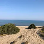 Apartment Strofilia Farm House, Kalogria! The Sea, The Forest, The Sun *