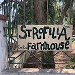 Strofilia Farm House, Kalogria! The Sea, The Forest, The Sun