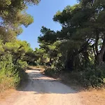 Strofilia Farm House, Kalogria! The Sea, The Forest, The Sun * Manolas