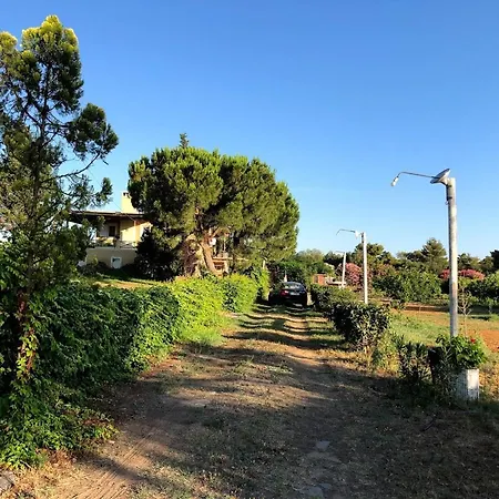 Strofilia Farm House, Kalogria! The Sea, The Forest, The Sun Апартаменты Manolas