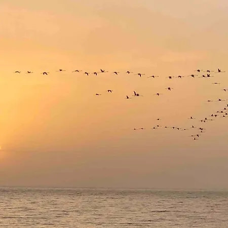 Strofilia Farm House, Kalogria! The Sea, The Forest, The Sun Apartamento