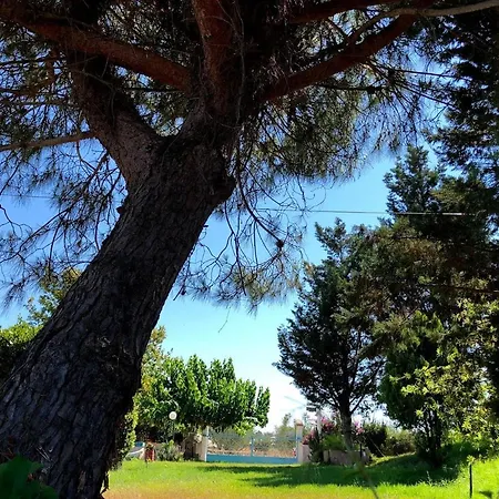 Strofilia Farm House, Kalogria! The Sea, The Forest, The Sun شقة