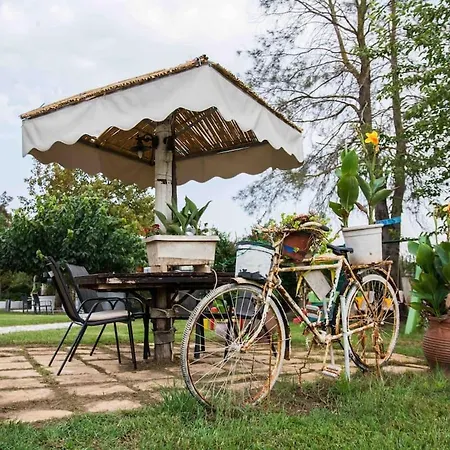 Strofilia Farm House, Kalogria! The Sea, The Forest, The Sun Apartment Manolas