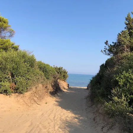 Strofilia Farm House, Kalogria! The Sea, The Forest, The Sun *