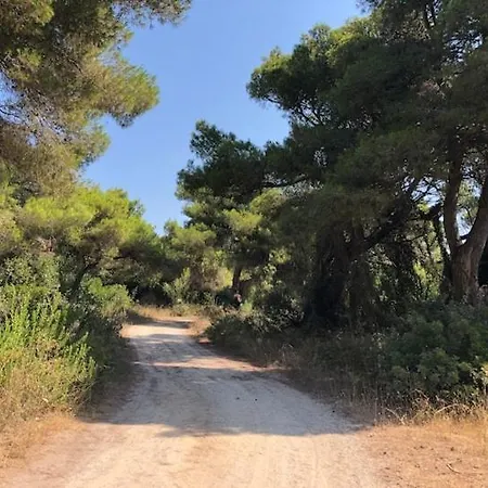 Strofilia Farm House, Kalogria! The Sea, The Forest, The Sun * Manolas