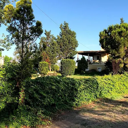 Strofilia Farm House, Kalogria! The Sea, The Forest, The Sun