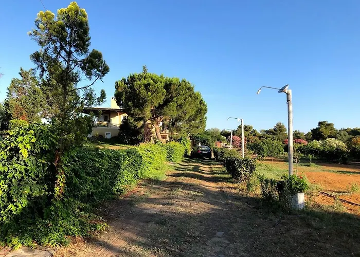 Strofilia Farm House, Kalogria! The Sea, The Forest, The Sun Lägenhet Manolas