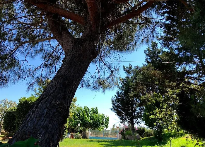 Strofilia Farm House, Kalogria! The Sea, The Forest, The Sun Lägenhet