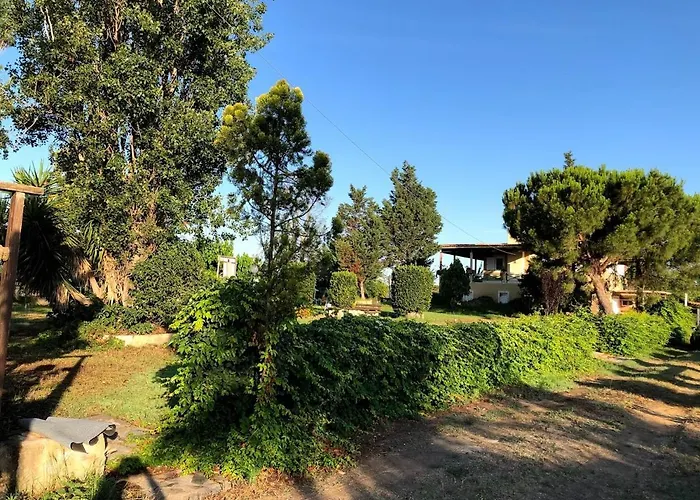 Lägenhet Strofilia Farm House, Kalogria! The Sea, The Forest, The Sun *