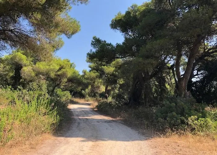 Strofilia Farm House, Kalogria! The Sea, The Forest, The Sun * Manolas